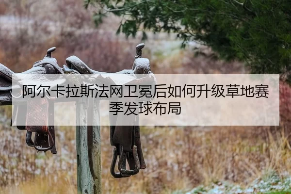 a-er-ka-la-si-fa-wang-wei-mian-hou-ru-he-sheng-ji-cao-di-sai-ji-fa-qiu-bu-ju-2-440.jpg