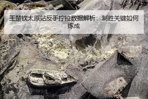 王楚钦太原站反手拧拉数据解析：制胜关键如何炼成