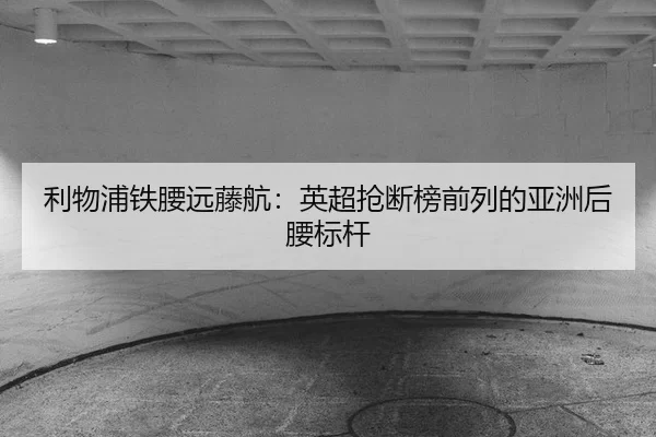 li-wu-pu-tie-yao-yuan-teng-hang-ying-chao-qiang-duan-bang-qian-lie-de-ya-zhou-hou-yao-biao-gan-3-443.jpg