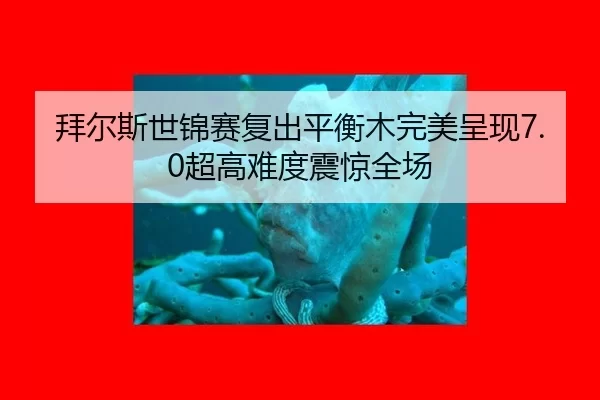 bai-er-si-shi-jin-sai-fu-chu-ping-heng-mu-wan-mei-cheng-xian-chao-gao-nan-du-zhen-jing-quan-chang-2-613.jpg
