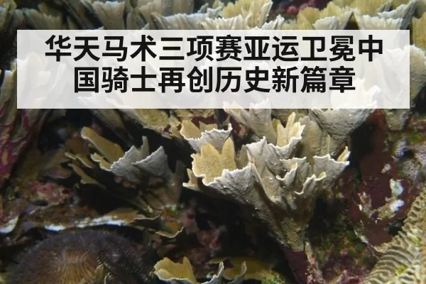 华天马术三项赛亚运卫冕中国骑士再创历史新篇章